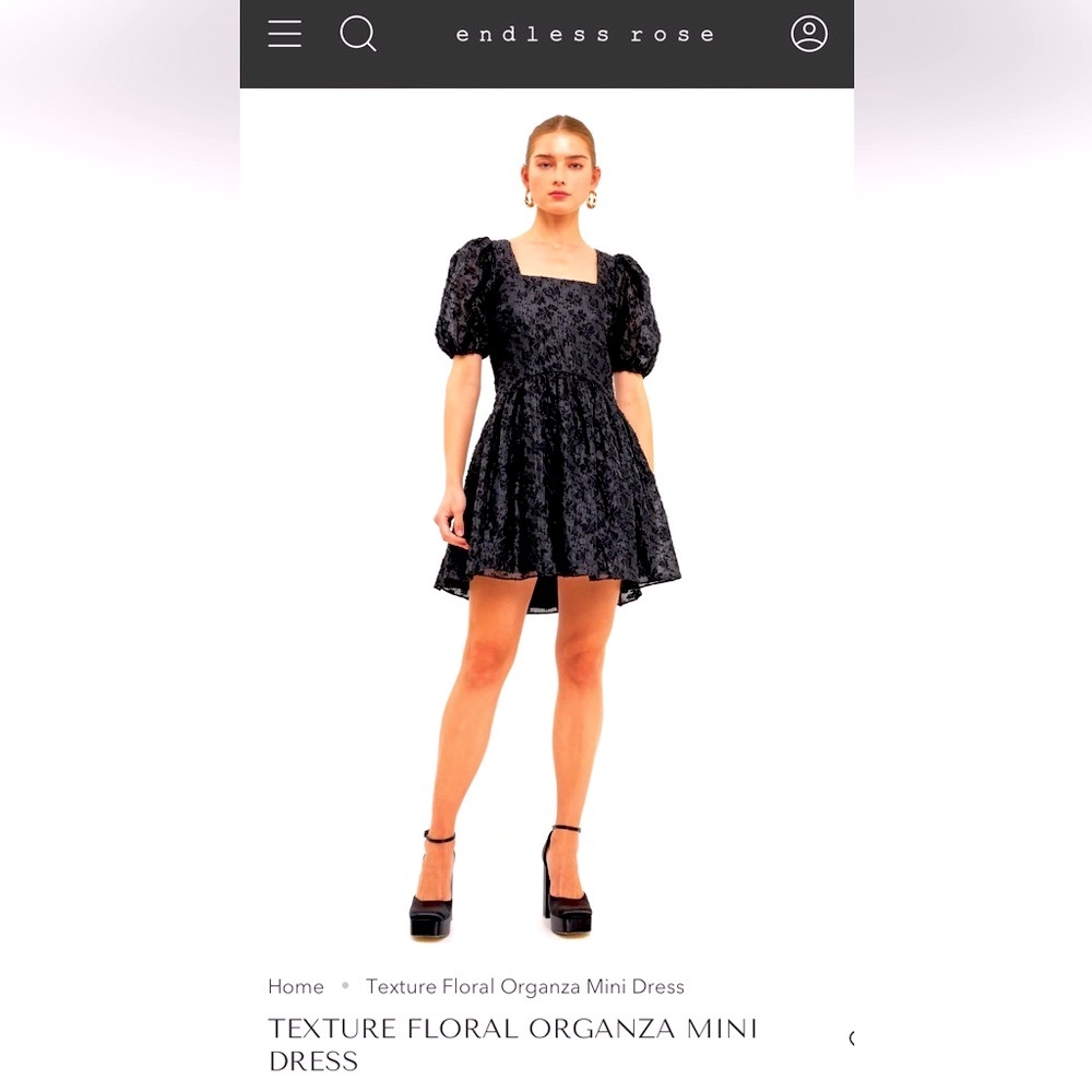 Endless Rose Black Floral Organza Mini Dress